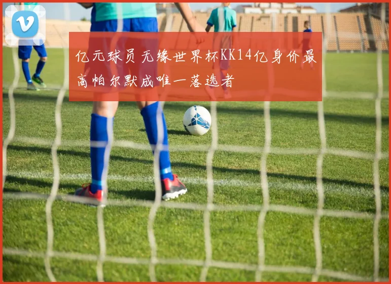 亿元球员无缘世界杯KK14亿身价最高帕尔默成唯一落选者